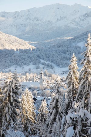 Photo for Winter mountain landscape in the Alps with snow covered fir trees - Royalty Free Image