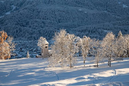 Téléchargez les photos : Paysage de montagne hivernal dans les Alpes avec sapins enneigés - en image libre de droit
