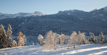 Photo for Winter mountain landscape in the Alps with snow covered fir trees - Royalty Free Image
