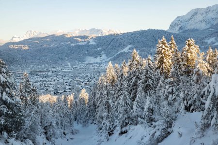 Foto de Invierno paisaje de montaña en los Alpes con abetos cubiertos de nieve - Imagen libre de derechos