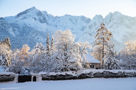 Foto de Invierno paisaje de montaña en los Alpes con abetos cubiertos de nieve - Imagen libre de derechos