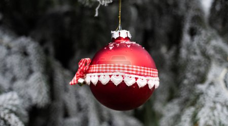 Photo for Red Christmas bauble on tree - Royalty Free Image