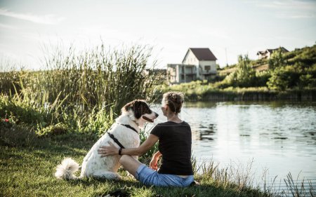 Photo for Summer lakeside with a dog - Royalty Free Image