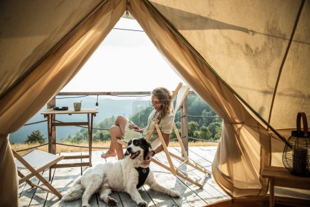 Téléchargez les photos : Glamping ou glamour camping avec un chien - en image libre de droit