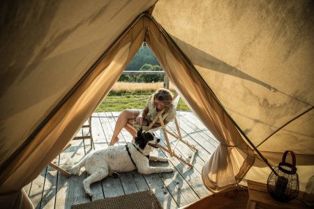 Photo for Glamping or glamour camping with a dog - Royalty Free Image