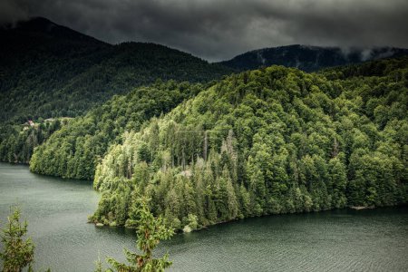 Photo for Beautiful lake surrounded by green fir trees - Royalty Free Image