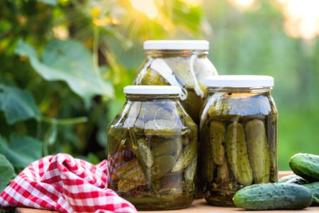 Photo for Pickled cucumbers for winter organic food - Royalty Free Image