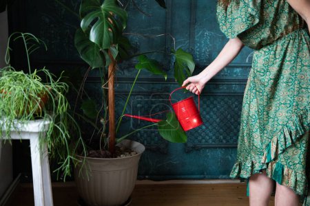 Téléchargez les photos : Femme arrosage fleurs avec arrosoir rouge - en image libre de droit