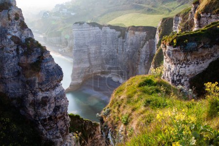 Photo for Coastal landscape along the Falaise d'Aval the famous white cliffs of Etretat village - Royalty Free Image