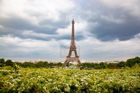 Photo for Skyline of Paris with Eiffel Tower at sunset in Paris, France - Royalty Free Image
