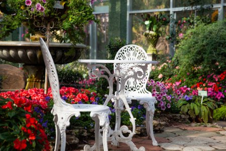 Téléchargez les photos : Chaises blanches dans un jardin exotique - en image libre de droit