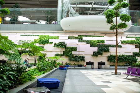 Foto de Área de recogida de equipaje con plantas tropicales en el aeropuerto - Imagen libre de derechos