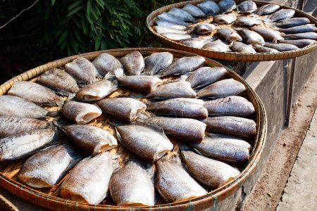 Frischer Fisch auf dem Markt in Bangkok