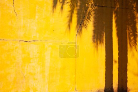 Foto de Palmeras y pared amarilla con espacio para copias - Imagen libre de derechos