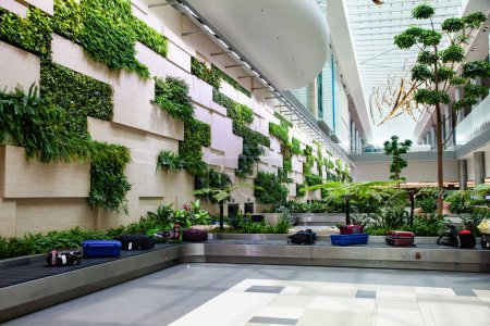 Photo for Luggage claim area with tropical plants in airport - Royalty Free Image