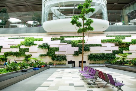 Foto de Área de recogida de equipaje con plantas tropicales en el aeropuerto - Imagen libre de derechos