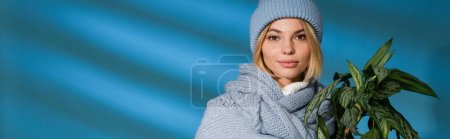 young blonde woman in winter hat and sweater holding potted green plant on blue, banner