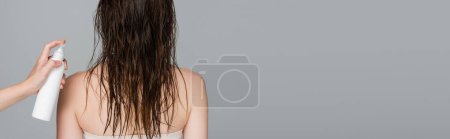 hair stylist holding spray bottle with treatment product near young woman with wet hair isolated on grey, banner 