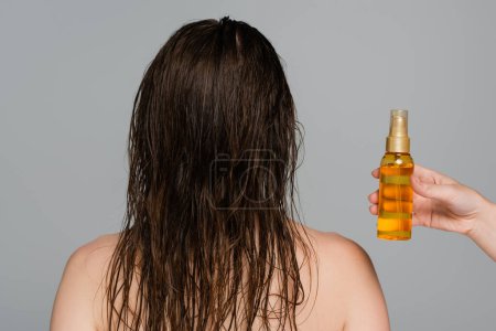 professional hair stylist holding bottle with hair oil near young woman isolated on grey