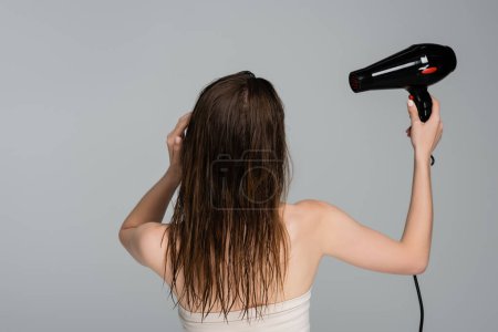 Téléchargez les photos : Vue arrière de la jeune femme aux cheveux mouillés en utilisant un sèche-cheveux isolé sur gris - en image libre de droit