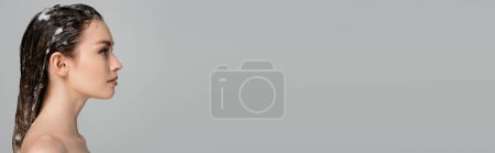 Téléchargez les photos : Vue latérale de jeune femme aux cheveux mousseux et mouillés isolés sur gris, bannière - en image libre de droit