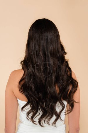 Foto de Back view of woman with wavy hair standing isolated on beige - Imagen libre de derechos