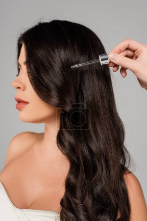 hair stylist holding dropper with oil near shiny hair of woman isolated on grey