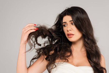 displeased brunette woman looking at long and tousled hair isolated on grey
