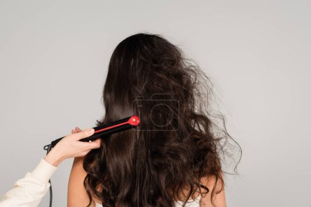 Friseur Glättung der Haare der lockigen brünetten Frau mit Haarbügeleisen isoliert auf grau
