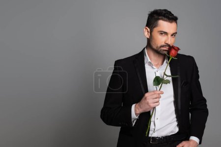Bearded man in suit holding red rose and looking at camera isolated on grey 