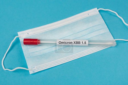 Top view of cotton swab with omicron xbb lettering on medical mask on blue background 