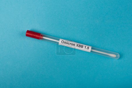 Top view of omicron xbb lettering on cotton swab on blue background 