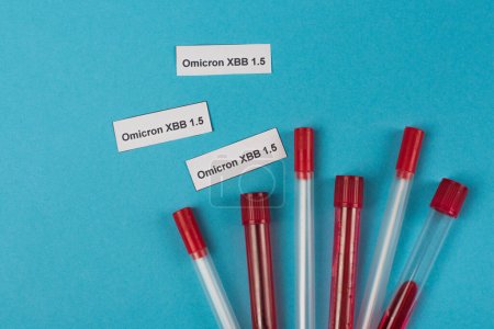 Top view of omicron xbb lettering near throat swabs and test tubes on blue background 
