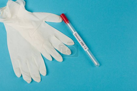 Top view of latex gloves near throat swab with omicron xbb lettering on blue background 