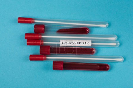 Top view of blood samples with throat swabs with omicron xbb lettering on blue background 