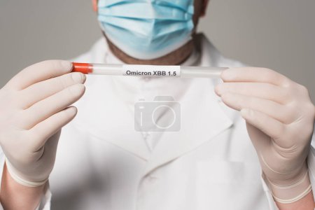 Cropped view of blurred doctor in latex gloves holding throat swab with omicron xbb lettering isolated on grey 