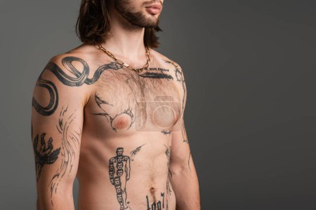 Photo for Cropped view of bearded and tattooed man on torso isolated on grey - Royalty Free Image
