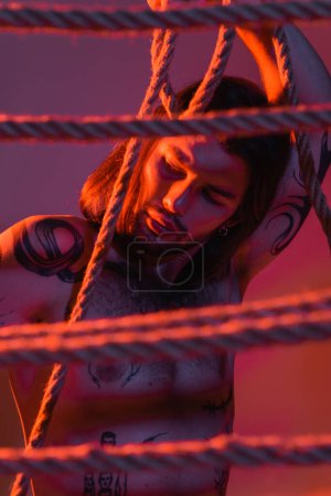 Foto de Sexy tattooed model posing near ropes on purple background with light - Imagen libre de derechos