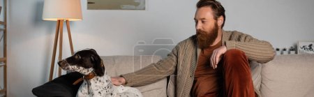 Bearded man in cardigan petting dalmatian dog on couch, banner 
