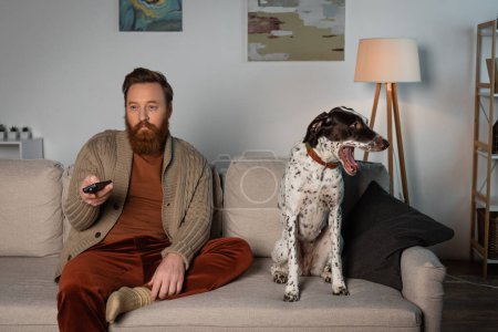 Bearded man watching tv near Dalmatian dog on couch 