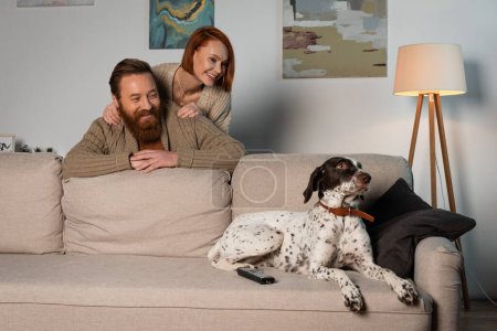 Smiling couple looking at dalmatian dog lying near remote controller on couch 