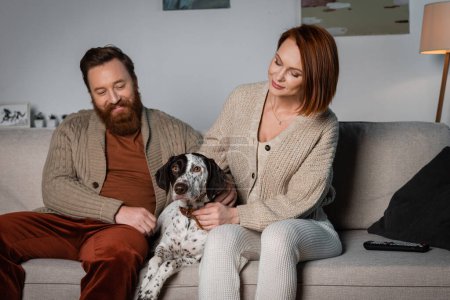 Téléchargez les photos : Family petting dalmatian dog while sitting near remote controller on couch - en image libre de droit