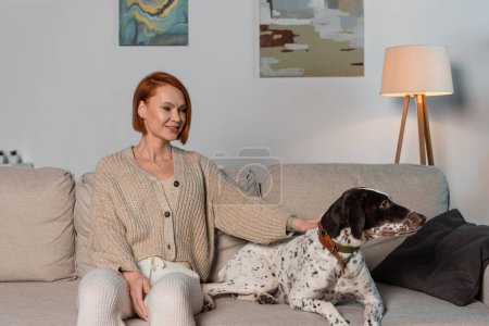 Smiling red haired woman petting dalmatian dog while sitting on couch in living room 