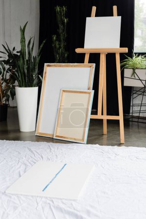 Canvases and wooden easel near plants in studio 