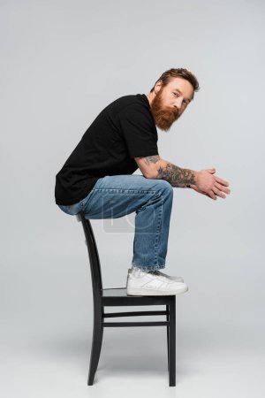 full length of bearded man in jeans sitting on chair back and looking at camera on grey background