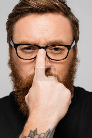 Photo for Portrait of strict bearded man adjusting eyeglasses and looking at camera isolated on grey - Royalty Free Image