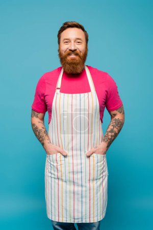 pleased bearded man in magenta t-shirt posing with hands in pockets of striped apron isolated on blue