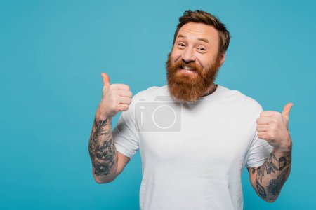 happy bearded and tattooed man in white t-shirt showing thumbs up and looking at camera isolated on blue