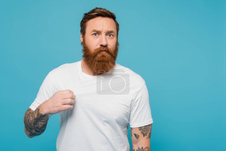 displeased bearded man touching white t-shirt and looking at camera isolated on blue