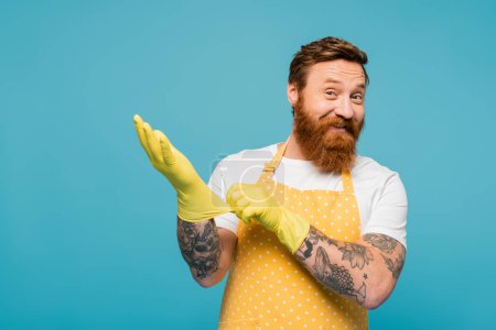 cheerful bearded man in apron looking at camera and wearing rubber gloves isolated on blue